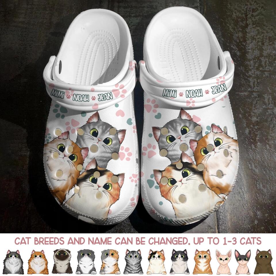 Personalized Cat Lover Clog Slipper Shoes Printed 23FEB-DT07