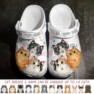 Personalized Cat Lover Colorfull Clog Slipper Shoes Printed 23FEB-DT07