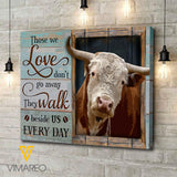 HEREFORD CATTLE CANVAS LC