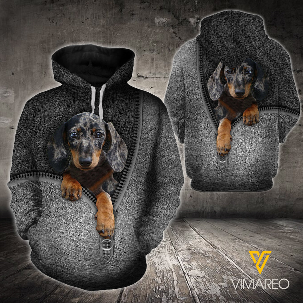 Dachshund Dog 3D printed hoodie CXN